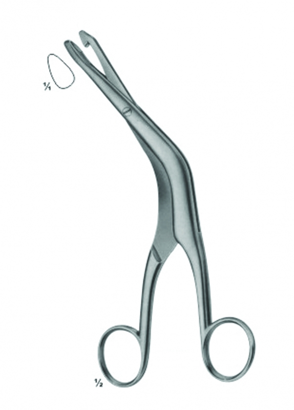 Biopsy Forceps