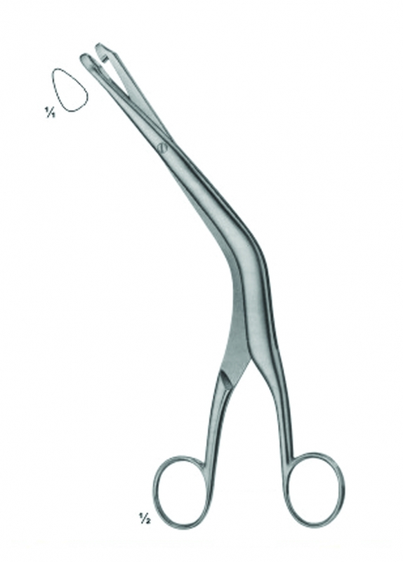 Biopsy Forceps