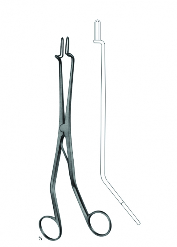 Endospecula ForCervix