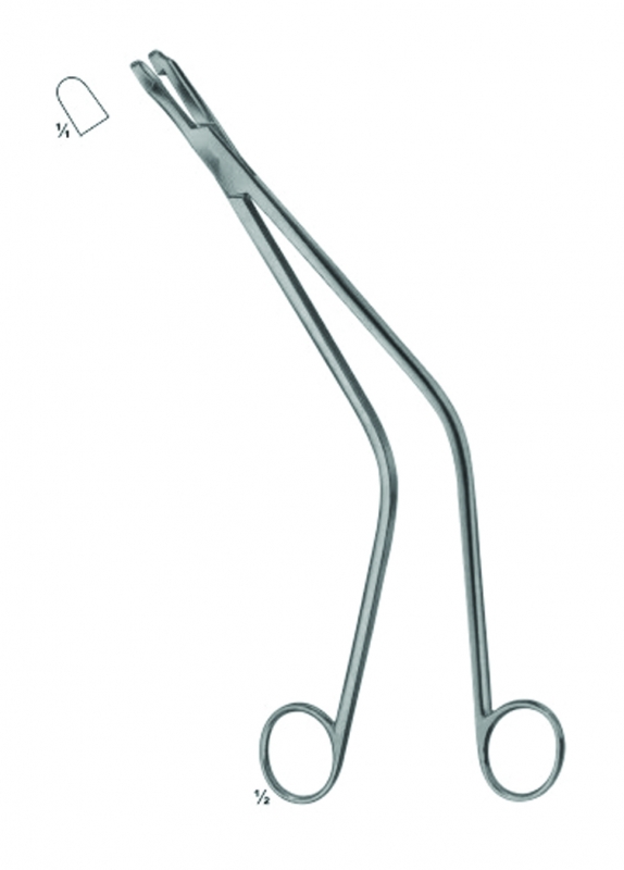 Biopsy Forceps