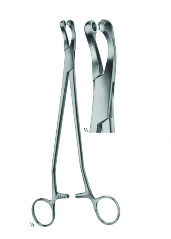 Biopsy Forceps